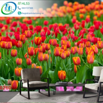 Tranh dán tường hoa tulip HL53